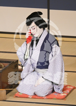 【8月】百千鳥沖津白浪鬼神のお松