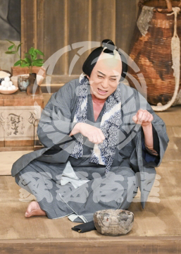 【8月】眠駱駝物語らくだ