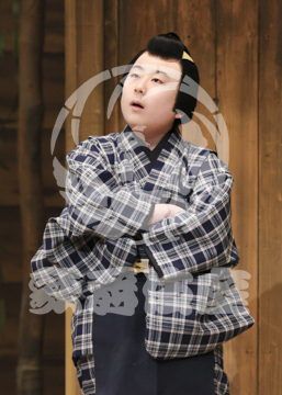 【8月】眠駱駝物語らくだ