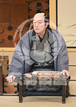 【8月】眠駱駝物語らくだ