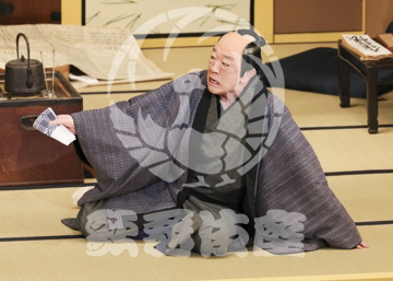 【8月】眠駱駝物語らくだ