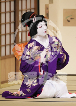 【8月】百千鳥沖津白浪鬼神のお松