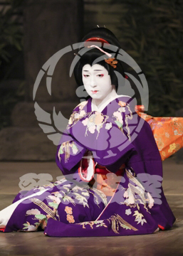 【8月】百千鳥沖津白浪鬼神のお松