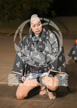 【8月】百千鳥沖津白浪鬼神のお松