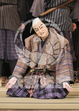 【8月】百千鳥沖津白浪鬼神のお松