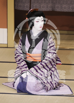 【8月】百千鳥沖津白浪鬼神のお松