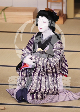 【8月】百千鳥沖津白浪鬼神のお松