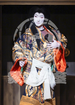 【8月】百千鳥沖津白浪鬼神のお松