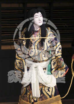 【8月】百千鳥沖津白浪鬼神のお松