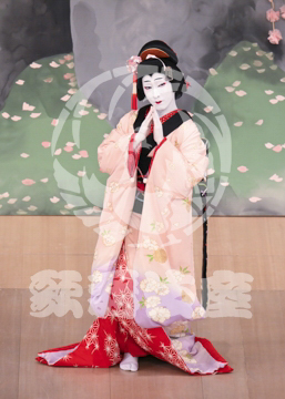 【8月】舞鶴雪月花上の巻さくら
