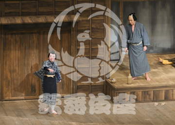 【8月】眠駱駝物語らくだ