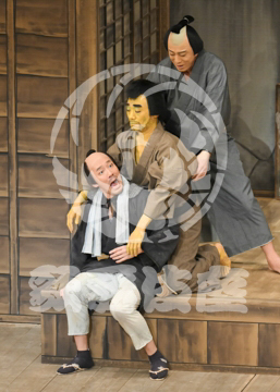 【8月】眠駱駝物語らくだ