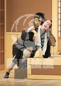 【8月】眠駱駝物語らくだ