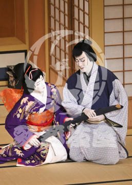 【8月】百千鳥沖津白浪鬼神のお松