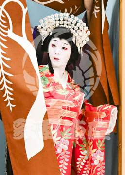 【9月】京人形