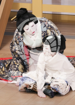 【10月】近江源氏先陣館盛綱陣屋