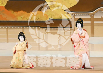 【10月】屋敷娘