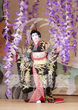 【1月浅草】藤娘