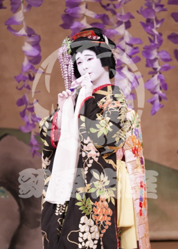 【1月浅草】藤娘