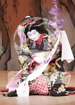 【1月浅草】藤娘