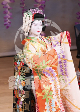 【1月浅草】藤娘