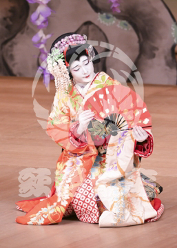 【1月浅草】藤娘