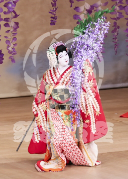 【1月浅草】藤娘