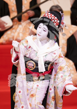 【1月浅草】男女道成寺