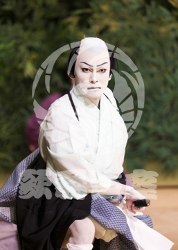 【1月浅草】傾城反魂香土佐将監閑居の場