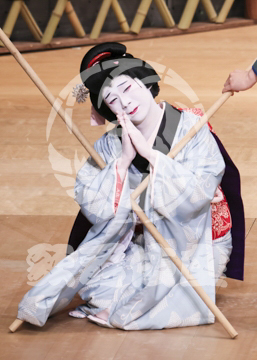 【1月浅草】梶原平三誉石切鶴ヶ岡八幡社頭の場