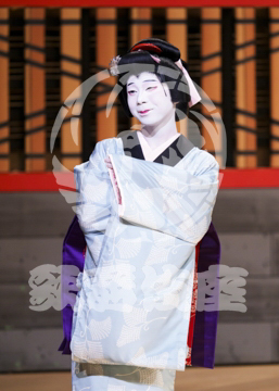 【1月浅草】梶原平三誉石切鶴ヶ岡八幡社頭の場