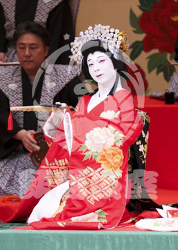 【1月浅草】相生獅子