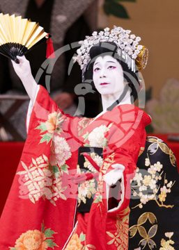 【1月浅草】相生獅子