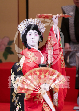 【1月浅草】相生獅子