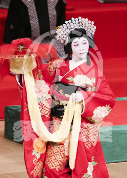 【1月浅草】相生獅子