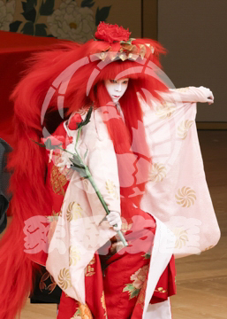 【1月浅草】相生獅子