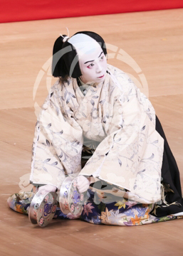 【1月浅草】男女道成寺