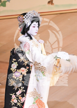 【1月浅草】相生獅子