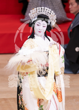 【1月浅草】相生獅子