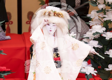 【1月浅草】相生獅子