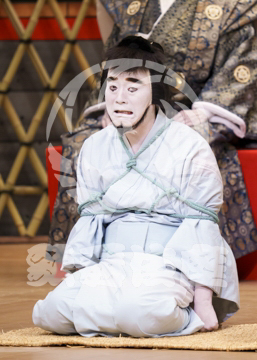 【1月浅草】梶原平三誉石切鶴ヶ岡八幡社頭の場