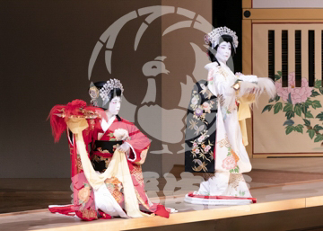 【1月浅草】相生獅子