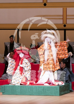 【1月浅草】相生獅子