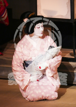 【5月】獨道中五十三驛岡崎無量寺の場