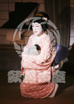 【5月】獨道中五十三驛岡崎無量寺の場