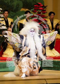 【10月平成中村座】連獅子