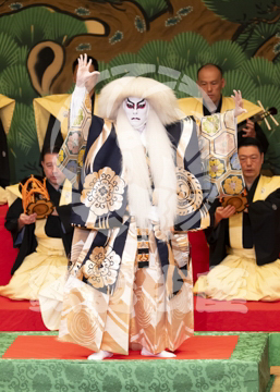【10月平成中村座】連獅子