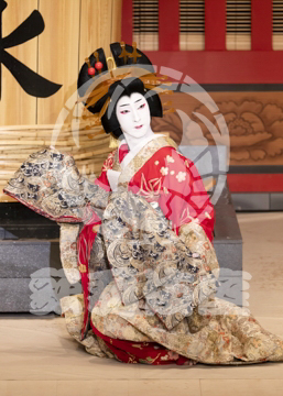 【10月平成中村座】助六曲輪初花桜