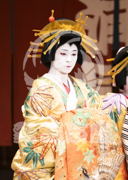 【10月平成中村座】助六曲輪初花桜
