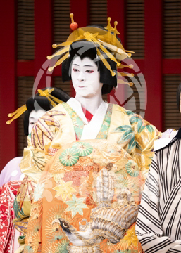 【10月平成中村座】助六曲輪初花桜